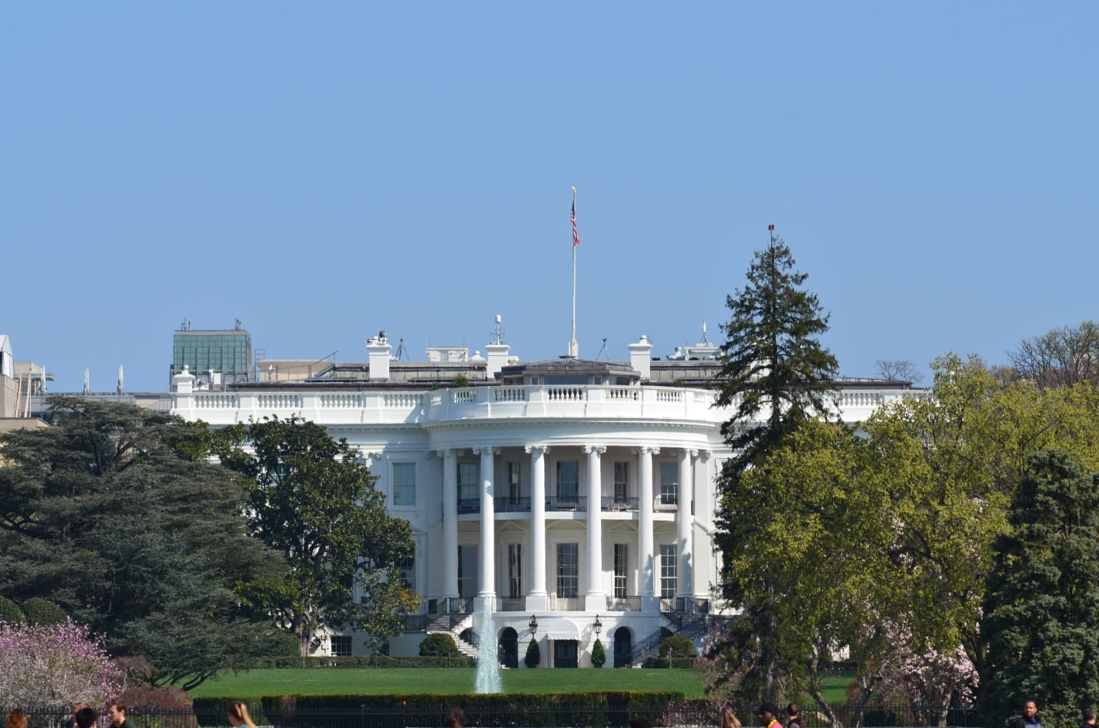 Welcome to Washington, D.C photo 2