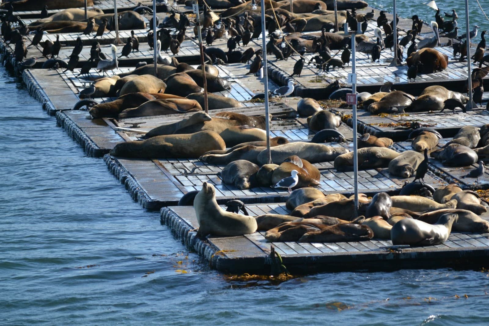 Welcome to San Diego, California photo 15