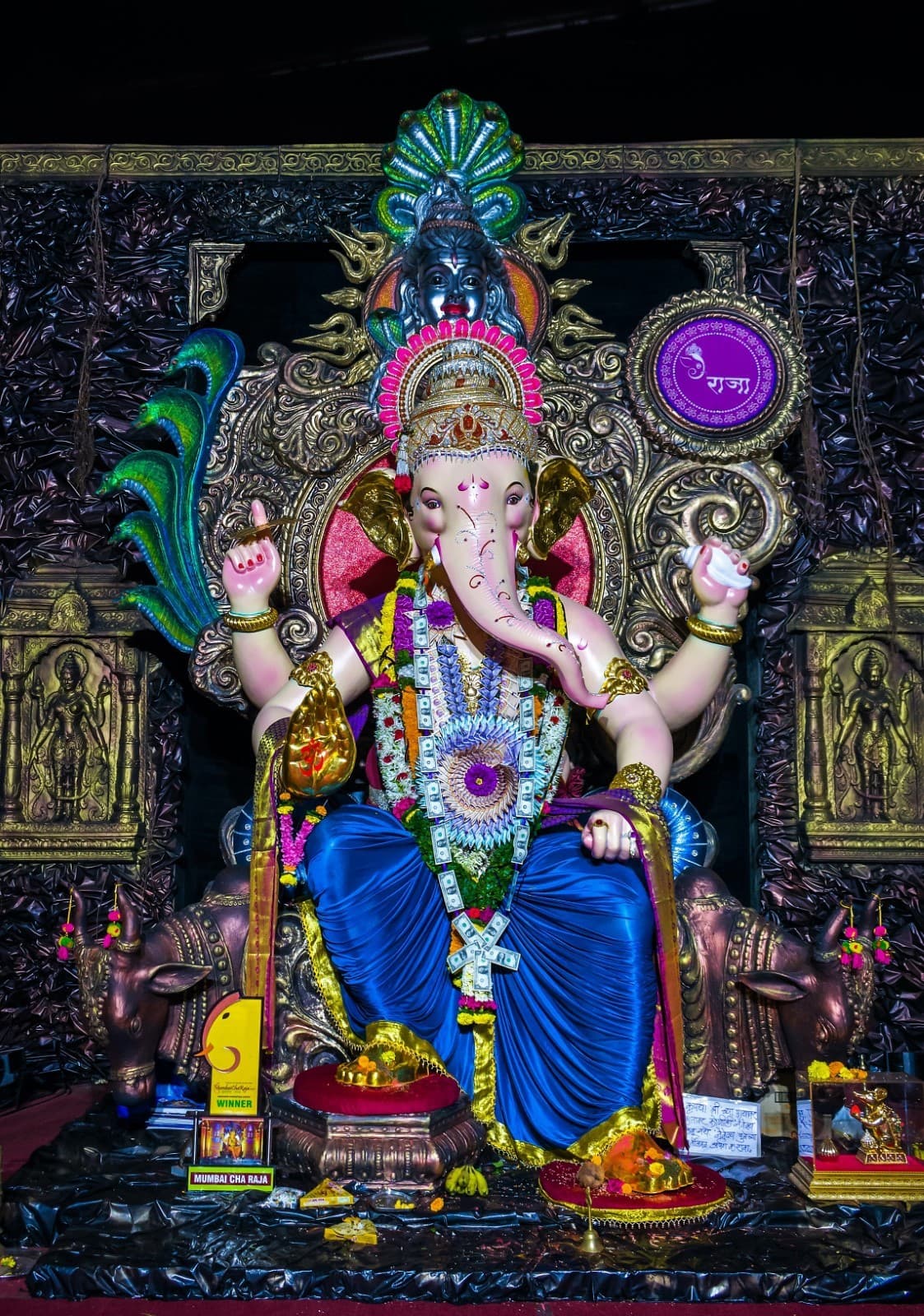 Welcome to Mumbai, India photo 47