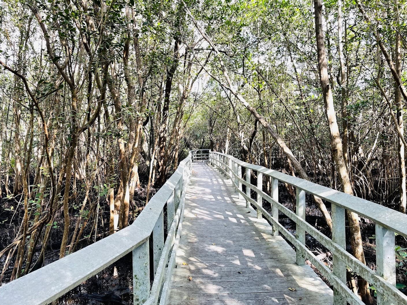 Welcome to Miami, Florida photo 14