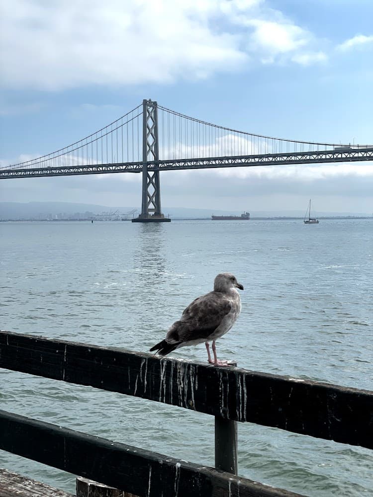 Welcome to San Francisco, California photo 2