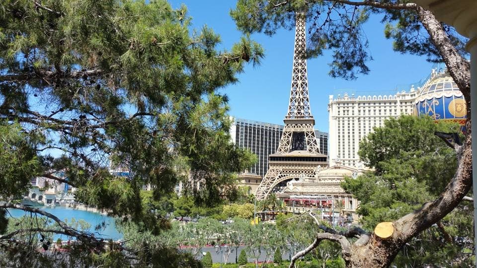 Welcome to Las Vegas, Nevada photo 9