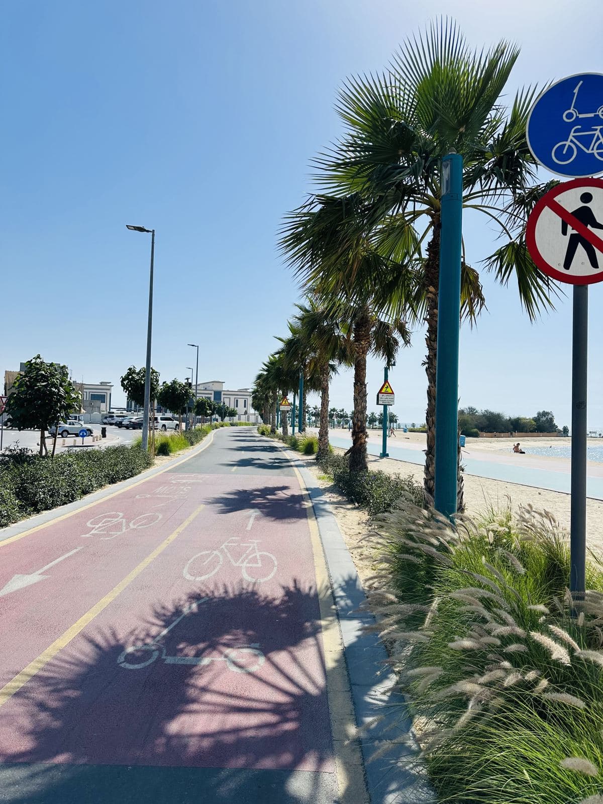 The palm-lined running track along Jumeirah Beach