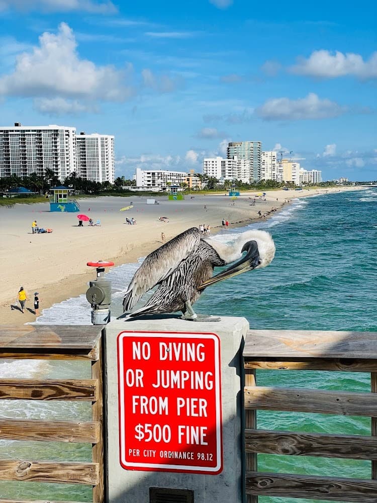 Welcome to Miami, Florida photo 12