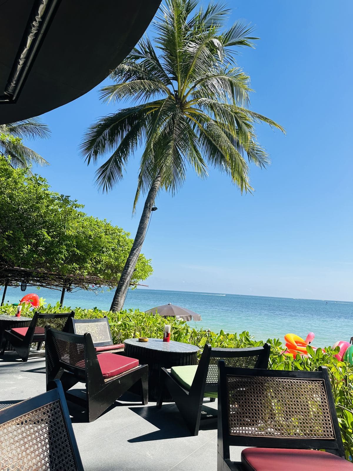 Café seating among palms and flowers