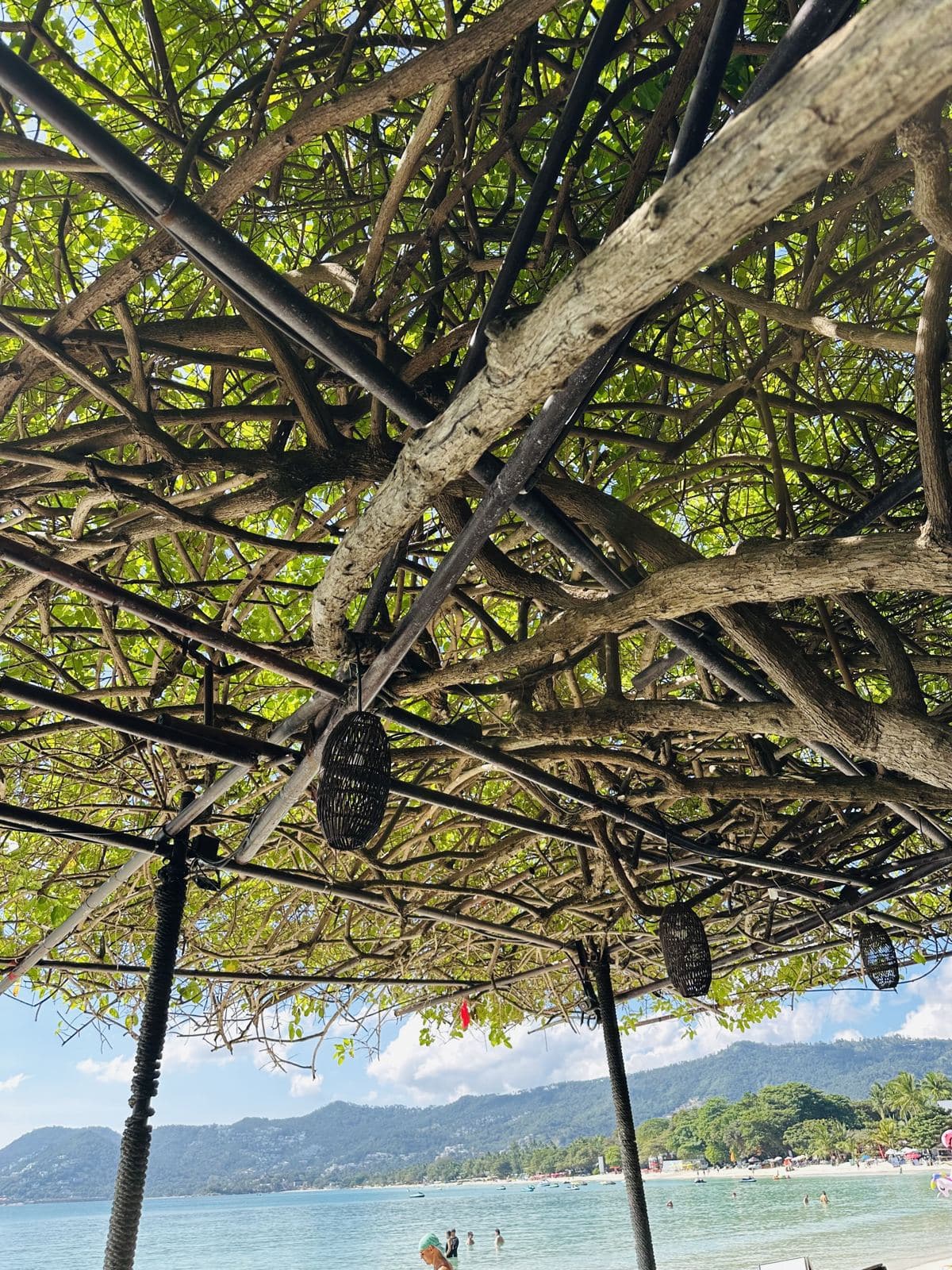 The beach glimpsed through the trees