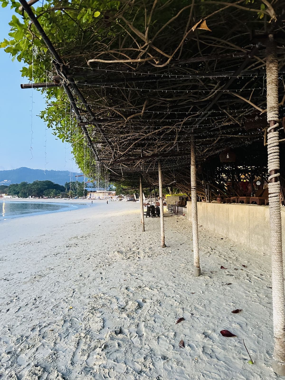 The trellised walkway along the beach
