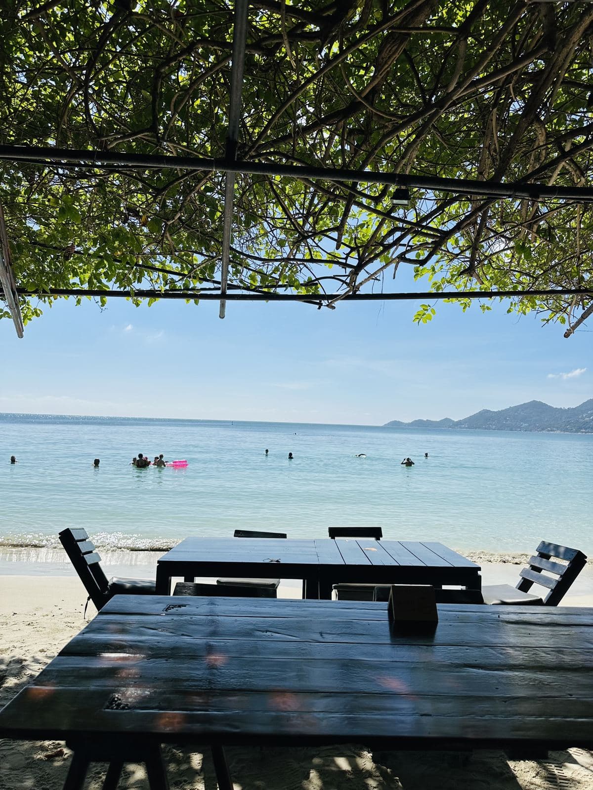 A shaded beachfront table under the vines
