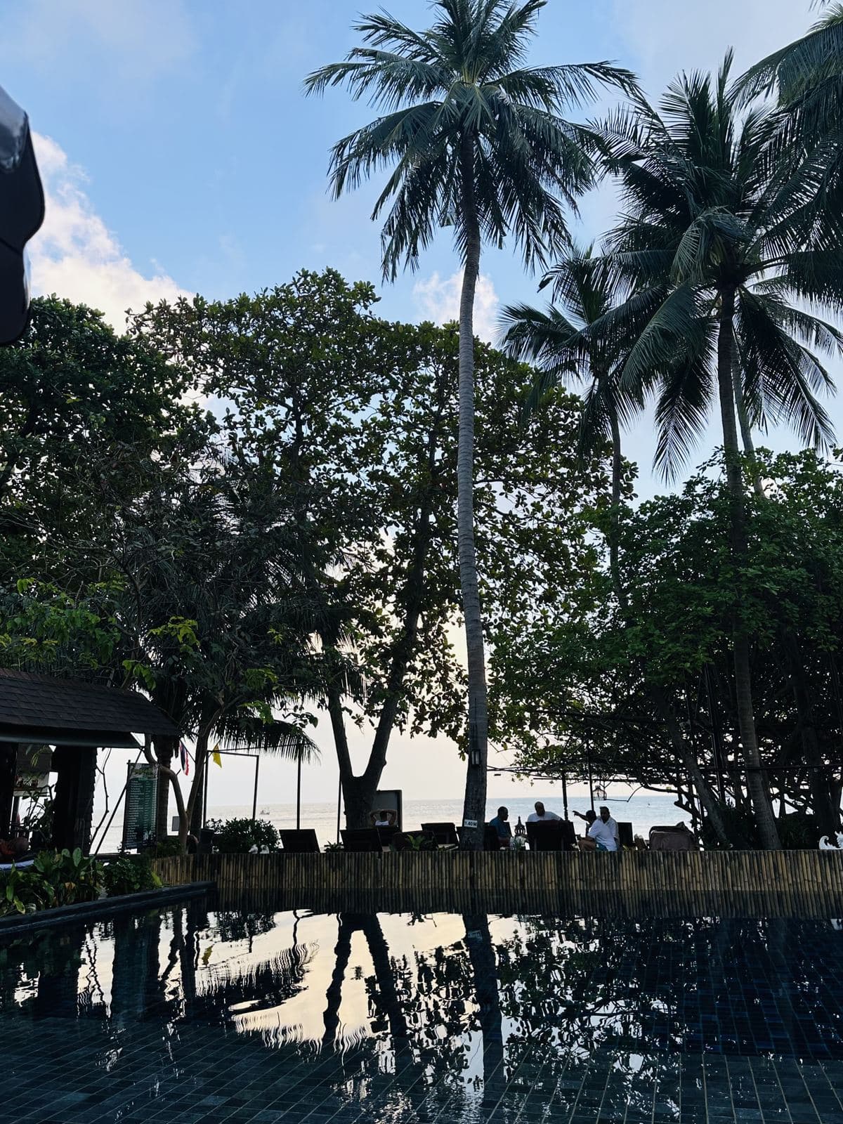Evening light over the resort pool