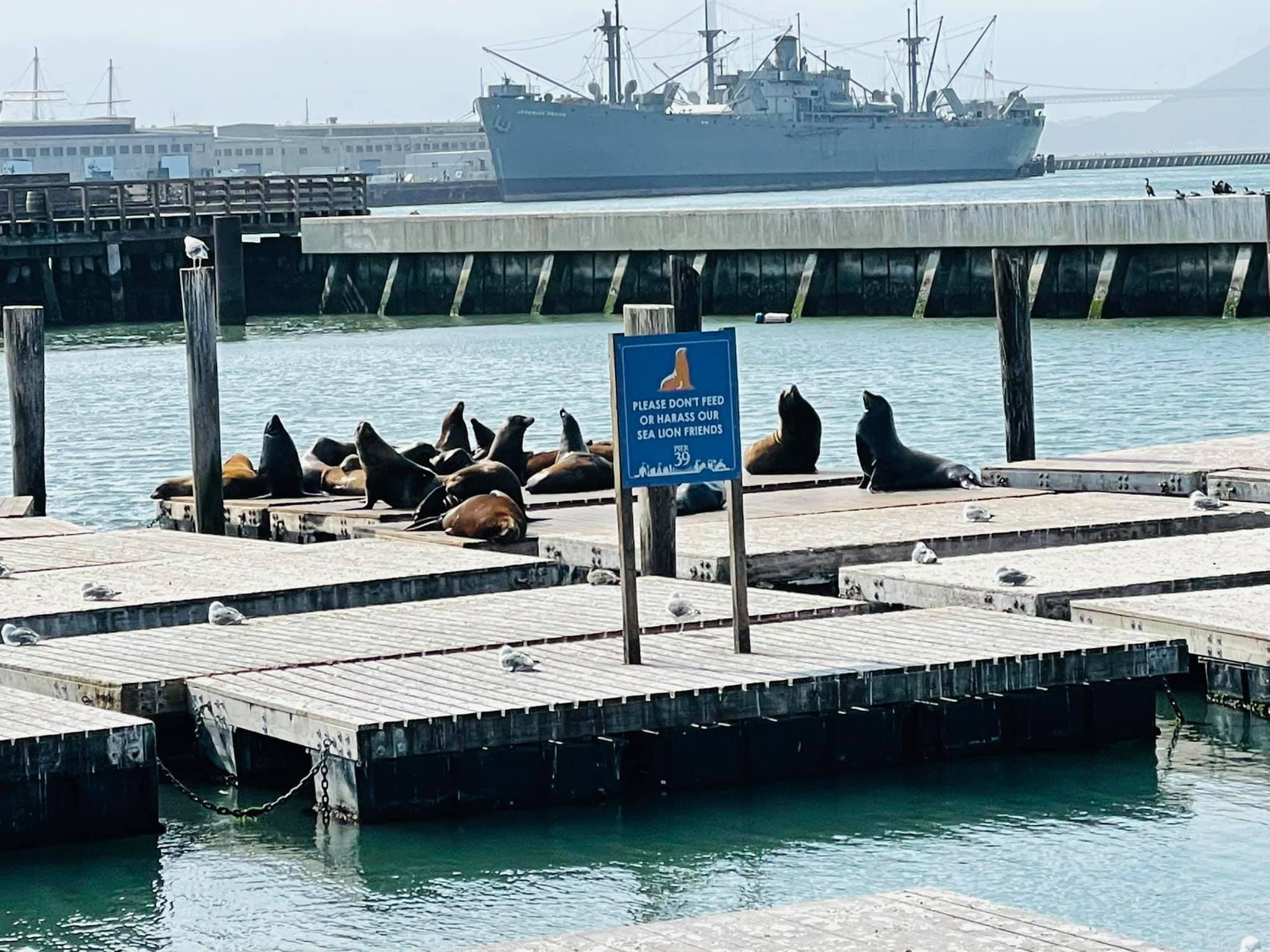 Welcome to San Francisco, California photo 3
