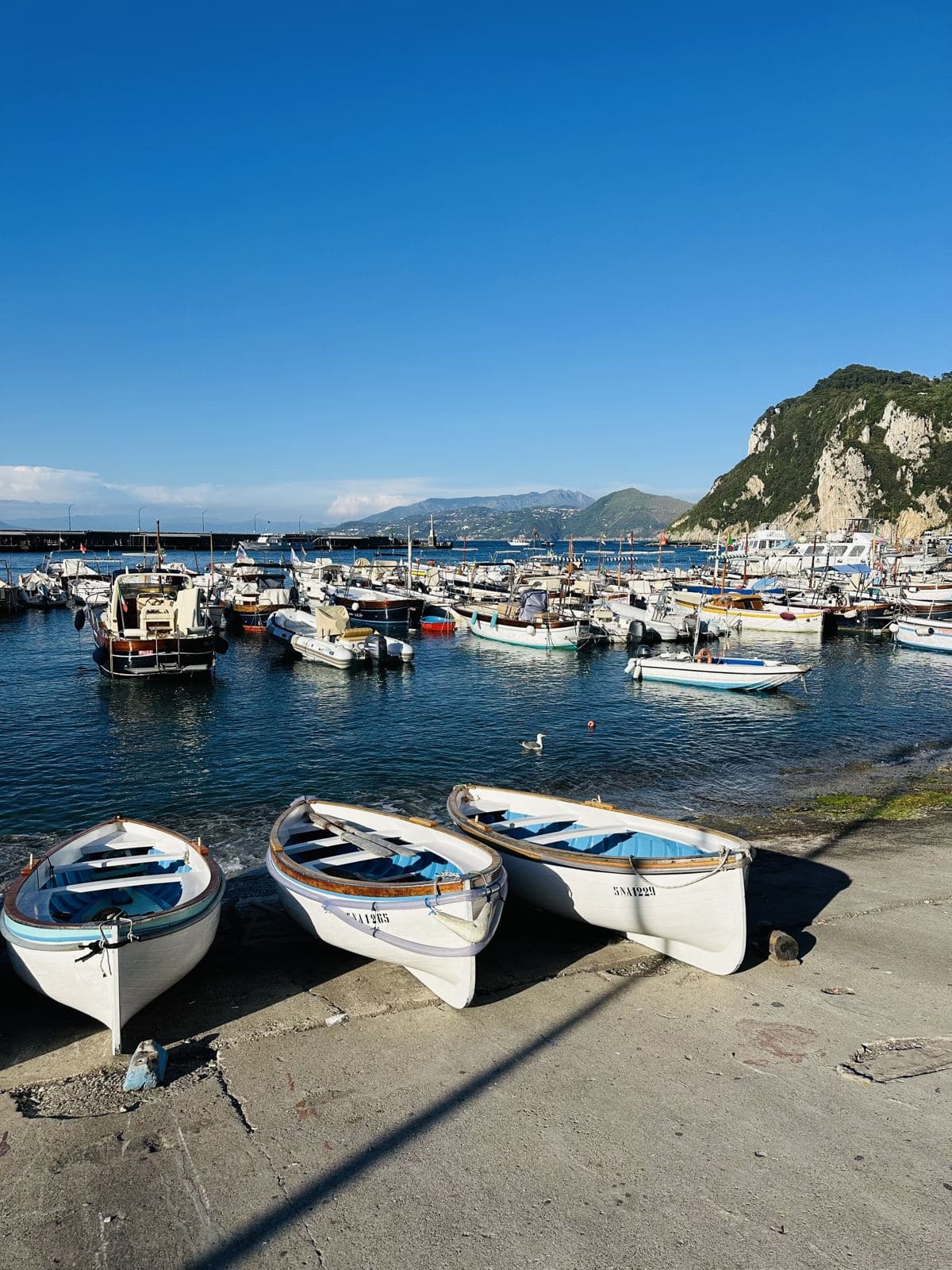 Fishing boats lined up in the harbour