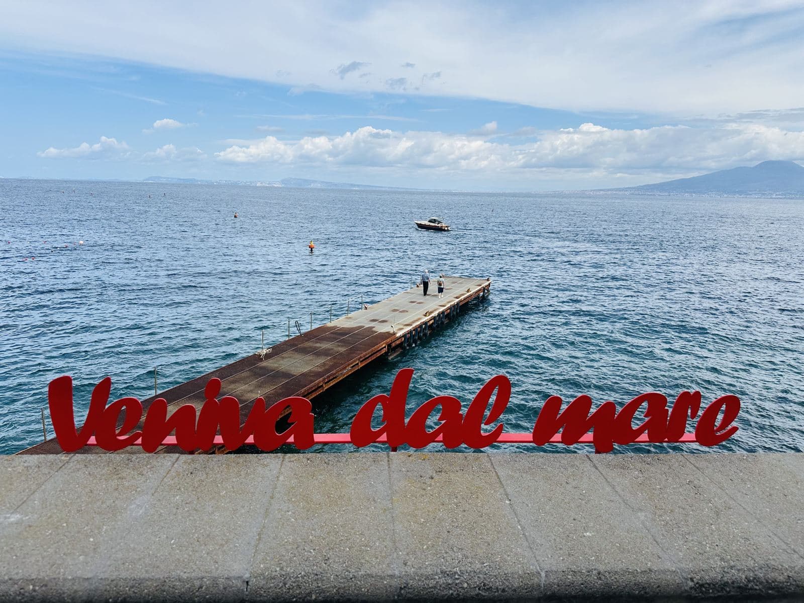 The 