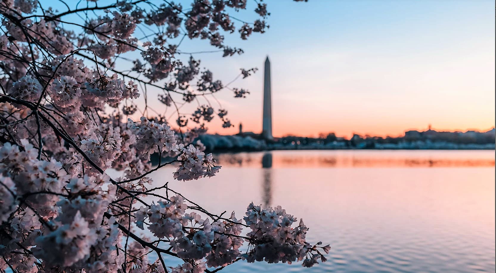 Welcome to Washington, D.C
