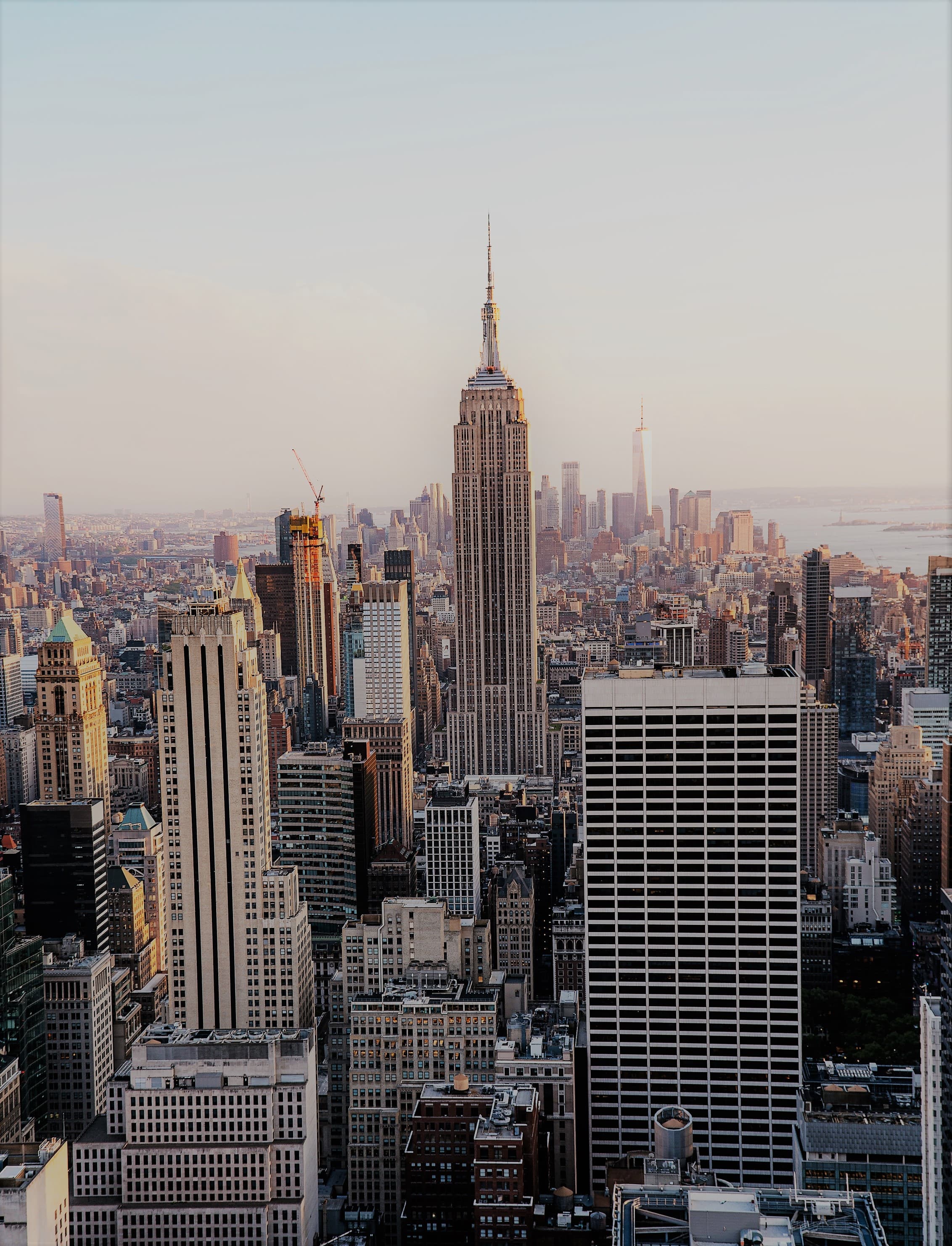 Welcome to New York City!